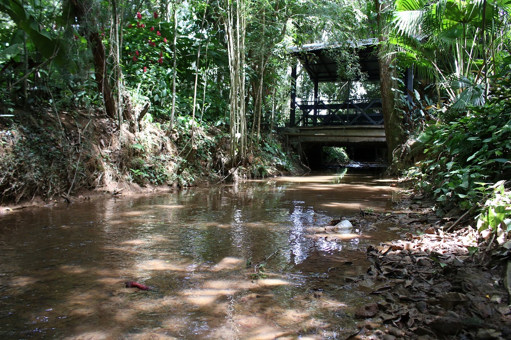 O Córrego São Pedro passa dentro do Parque do Museu Mello Leitão - Foto- Leo Meira - INMA (1)