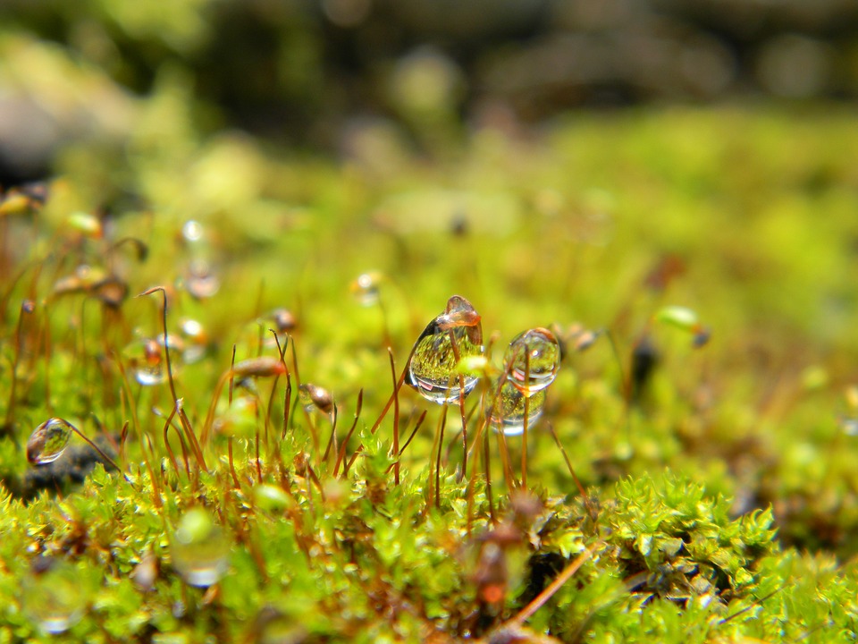 drop-1081066_960_720