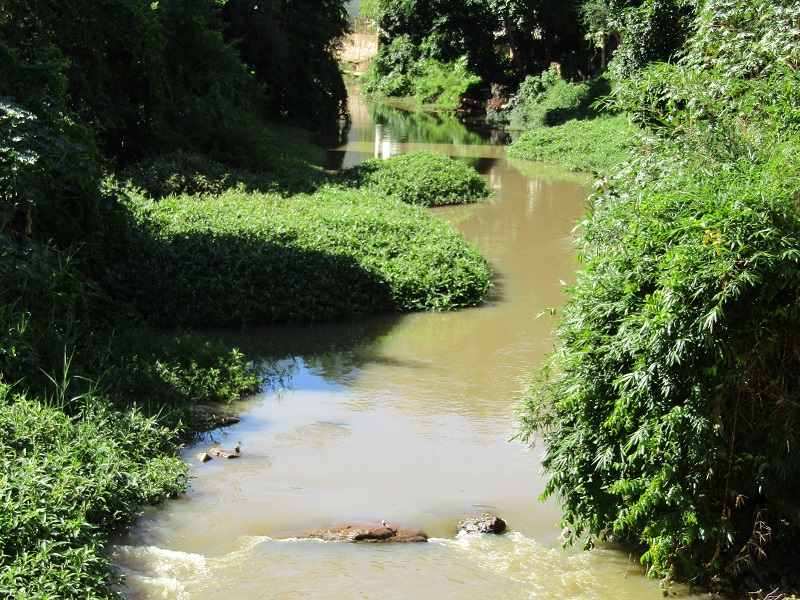 guandu-2